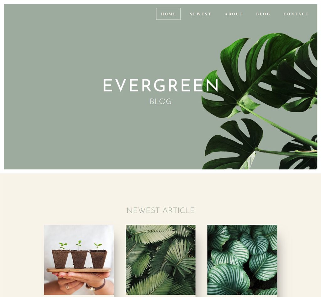 template evergreen